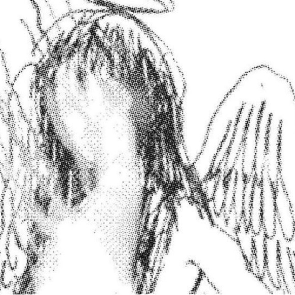 Meet your Posher, Anika